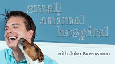 Season 01, Episode 13 Episode #1.13