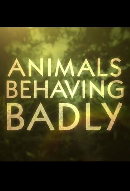 BBC Animals Behaving Badly Poster