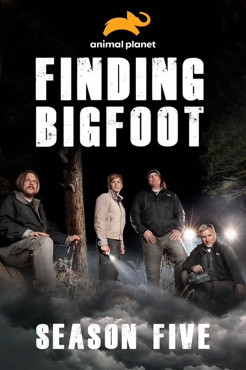 Chasing Bigfoot: The Quest for Truth (TV Series 2015– ) - IMDb