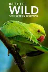  Into the Wild with Gordon Buchanan Poster