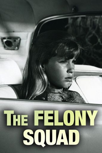  Felony Squad Poster