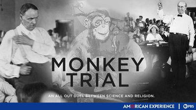Season 14, Episode 09 Monkey Trial