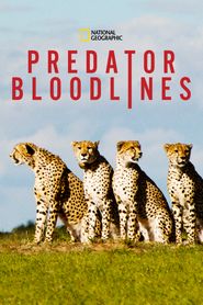  Predator Bloodlines Poster