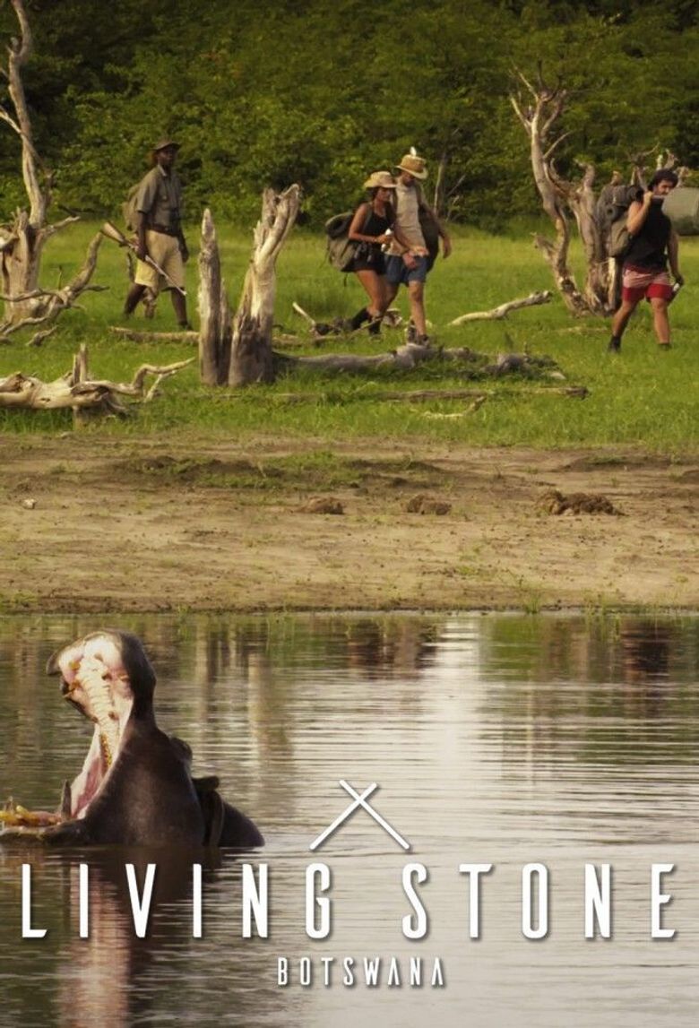 Living Stone: Botswana