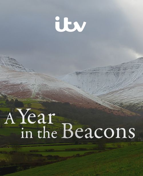 A Year in the Beacons Poster