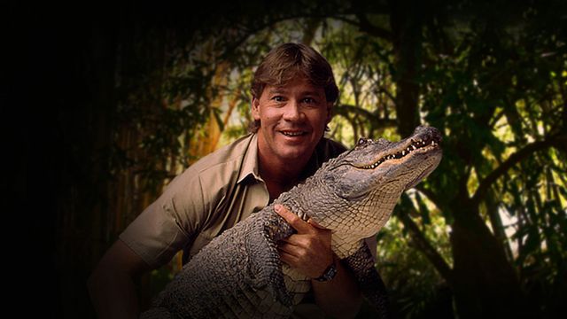 The Crocodile Hunter: Best of Steve Irwin Backdrop