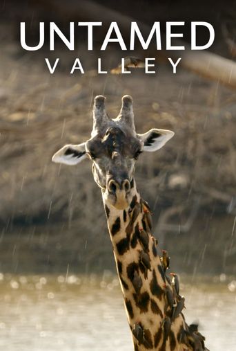  Untamed Valley Poster