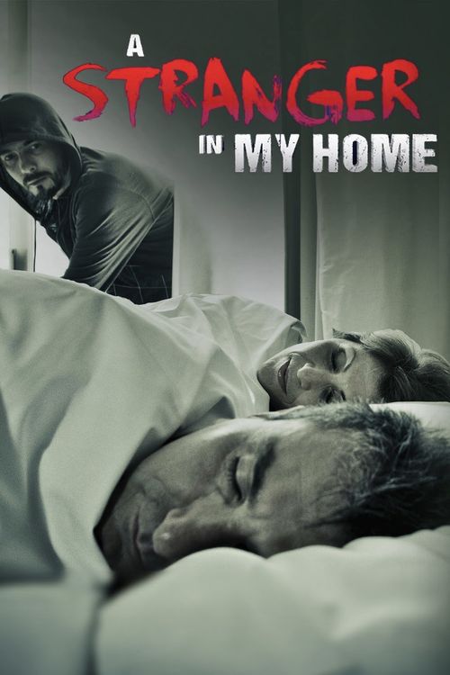 A Stranger in My Home Poster