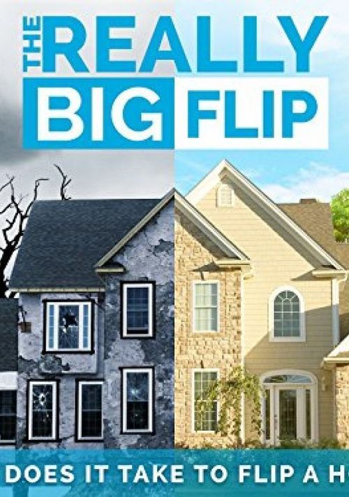 The Really Big Flip Poster