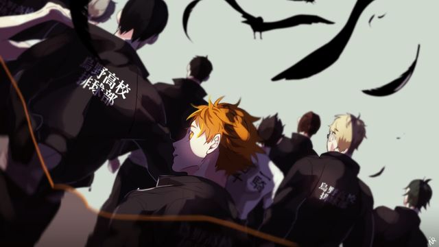 Haikyu!! Backdrop