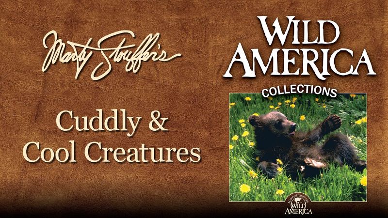 Wild America: Where to Watch and Stream Online | Reelgood