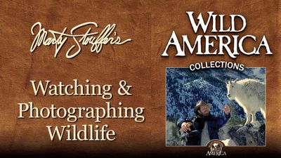 Season 04, Episode 10 Tracking Wildlife