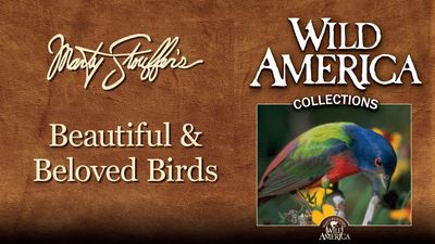 Season 12, Episode 10 The Bill Makes the Bird
