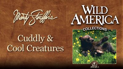 Season 10, Episode 10 Kids and Critters