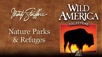 Season 10, Episode 09 Whitebark