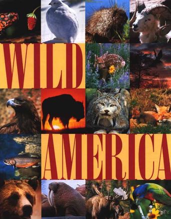  Wild America Poster