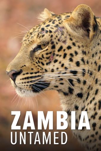  Zambia Untamed Poster