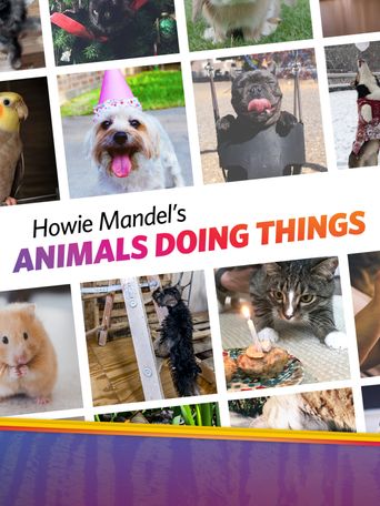  Howie Mandel's Animals Doing Things Poster