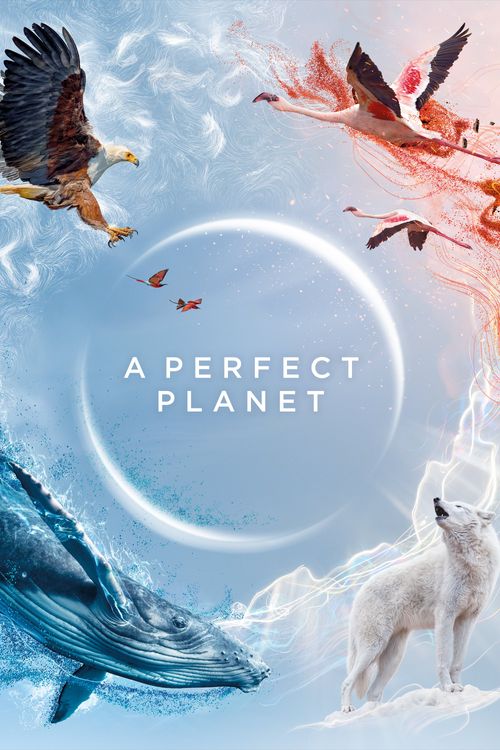 A Perfect Planet Season 1 Poster