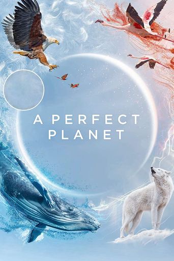  A Perfect Planet Poster