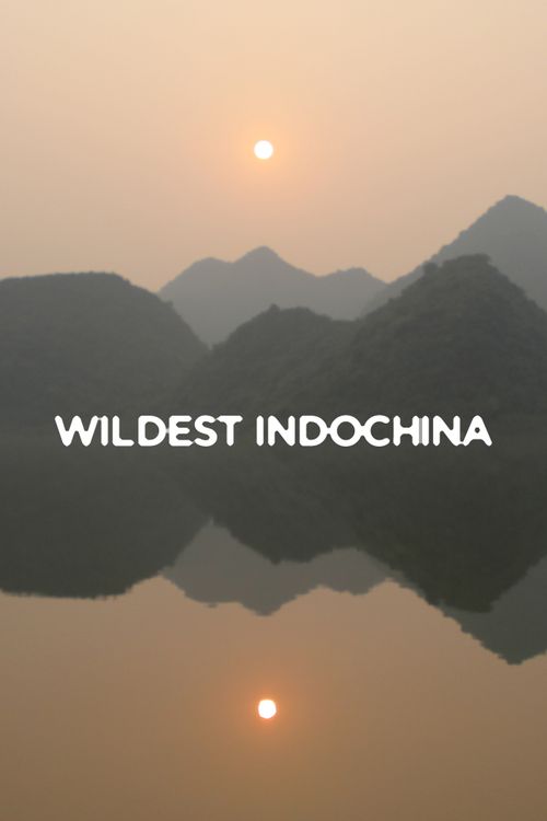 Wildest Indochina Poster