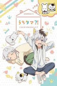 Uchi Tama?! Uchi no Tama Shirimasen ka? Season 1 Poster
