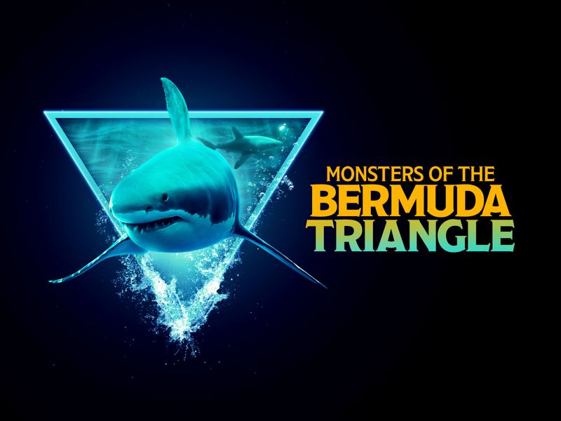Monsters Of The Bermuda Triangle Season 1 Where To Watch Every Episode Monsters Of The Bermuda Triangle Season 1 Where To Watch Every Episode