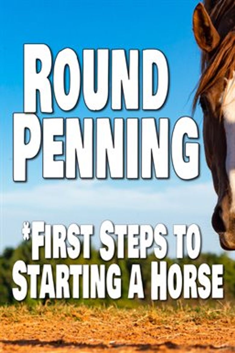 Round Penning: First Steps to Starting a Horse