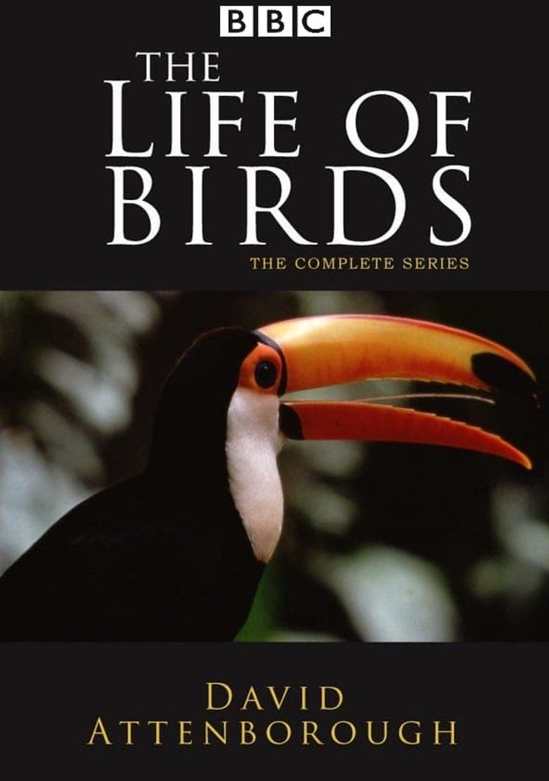 The Life of Birds Poster
