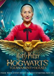  Harry Potter: Hogwarts Tournament of Houses Poster