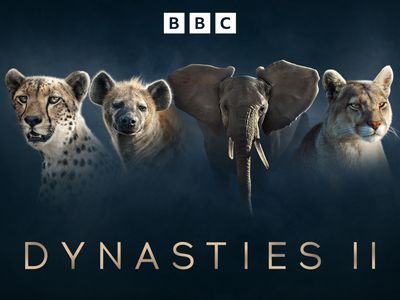 Season 01, Episode 07 Meerkat: A Dynasties Special