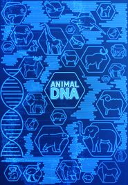  Animal DNA Poster