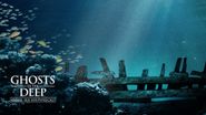 Ghosts of the Deep: Black Sea Shipwrecks: Where to Watch and Stream ...