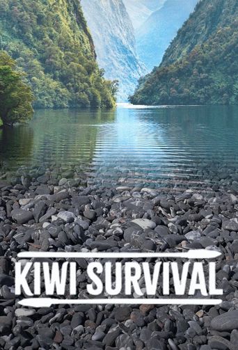  Kiwi Survival Poster