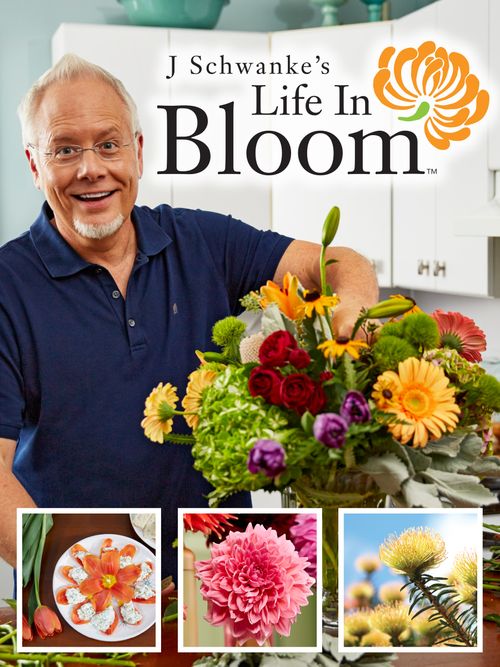 Life in Bloom Season 4 Where To Watch Every Episode Reelgood