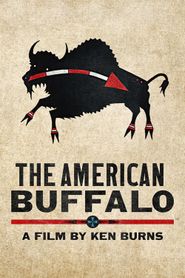  The American Buffalo Poster