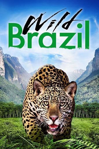  Wild Brazil Poster