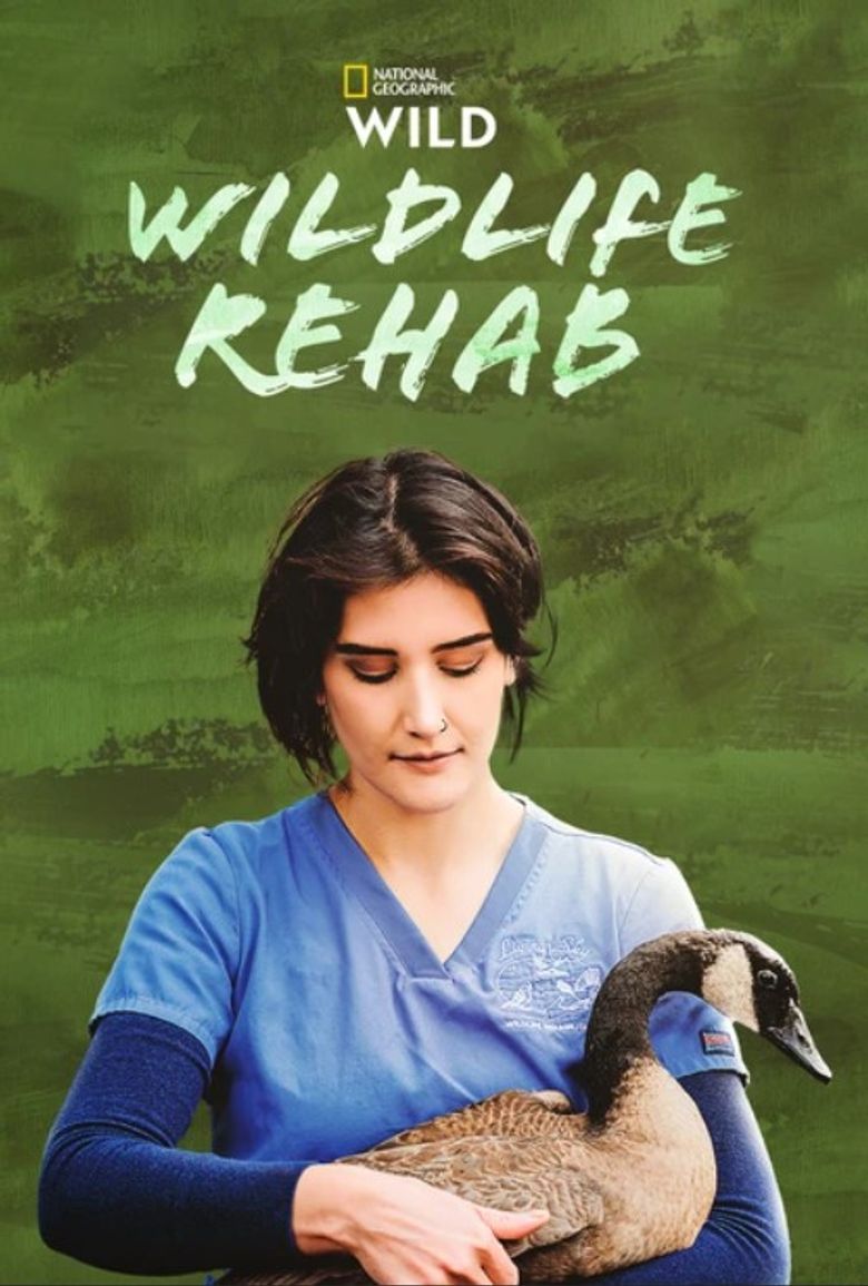 Wildlife Rehab