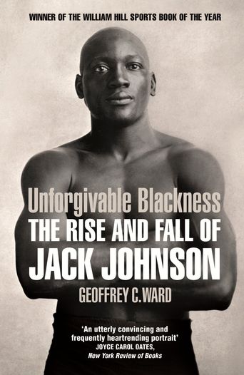  Unforgivable Blackness Poster