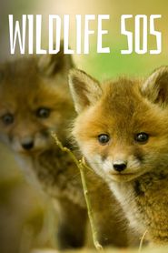 Wildlife SOS Poster