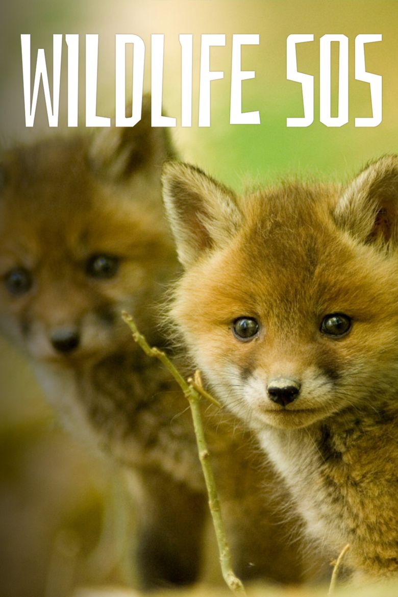 Wildlife SOS