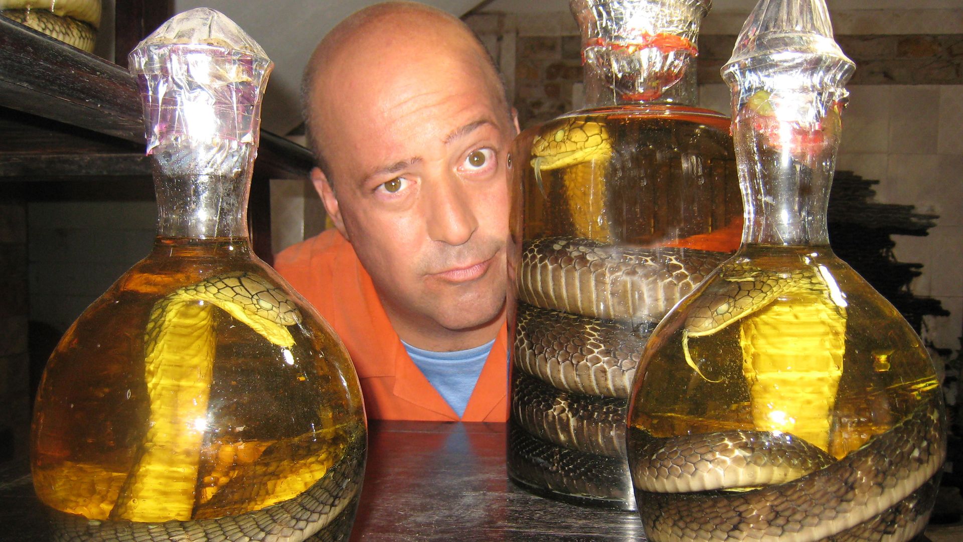 Bizarre Worlds with Andrew Zimmern Backdrop