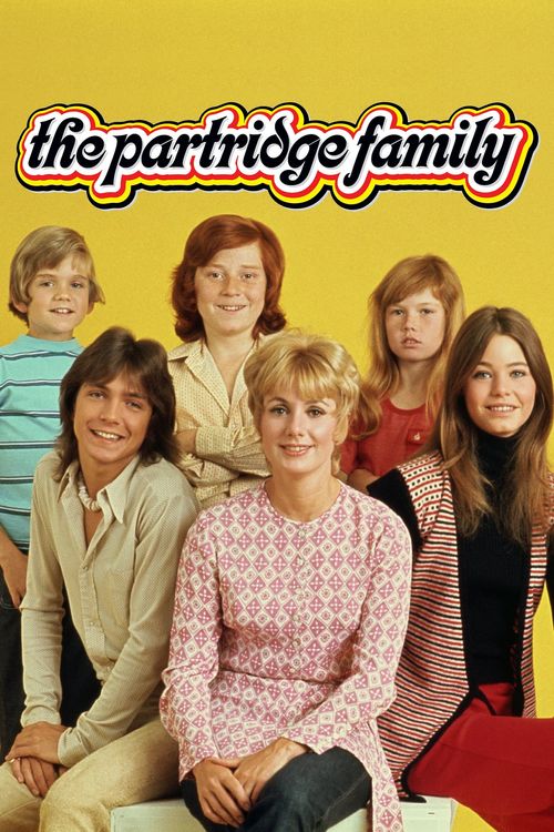 The Partridge Family Poster