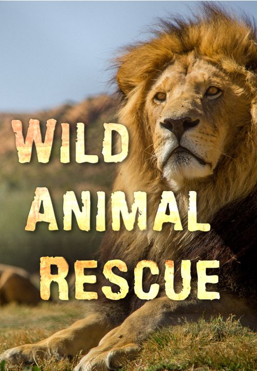Wild Animal Rescue Poster
