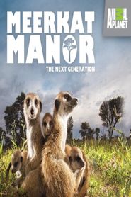 Meerkat Manor Season 4 Poster