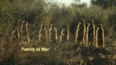 Season 03, Episode 13 A Family at War