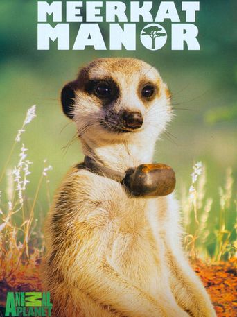  Meerkat Manor Poster