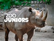  Zoo Juniors Poster