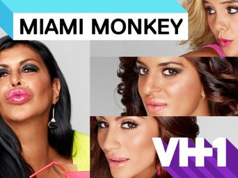  Miami Monkey Poster