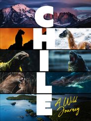  Chile: A Wild Journey Poster